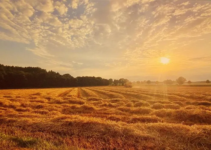 דירה Im Dorfe Since 2022